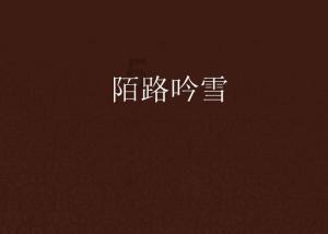 倾世一梦