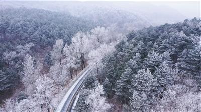 新加坡旅游局联合马蜂窝推出“王嘉尔狮城线路”,直击年轻客群旅行新需求
